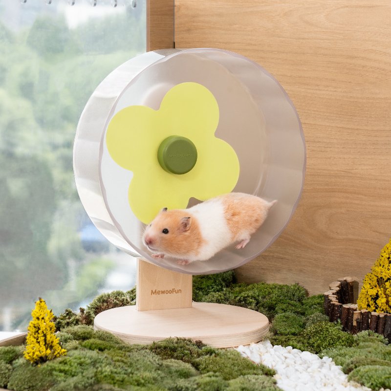 Silent Adjustable Sports Wheel for Small Pets